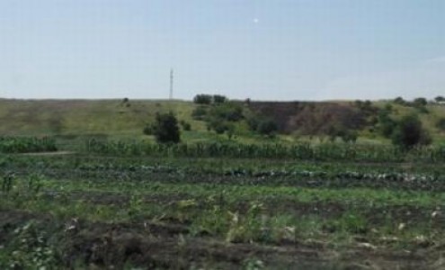 Fondurile europene destinate fermelor familiale vor veni in luna iunie