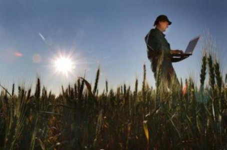 Plati de peste 3 miliarde de euro din PNDR