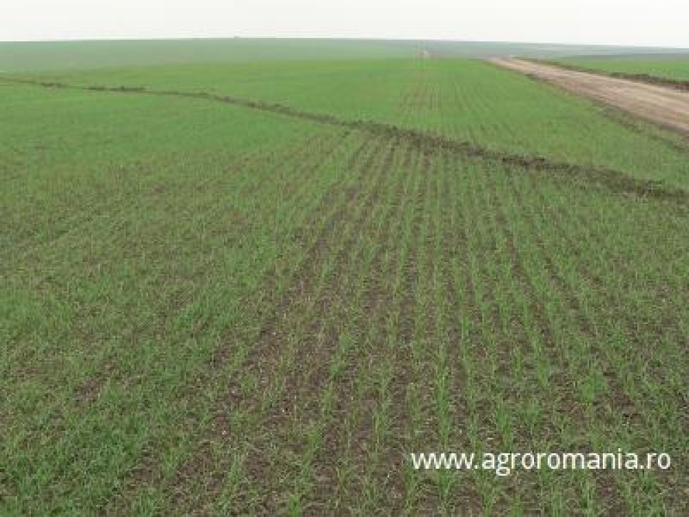 Desi primeste 3 miliarde de euro pe an, sectorul agricol nu utilizeaza eficient acesti bani