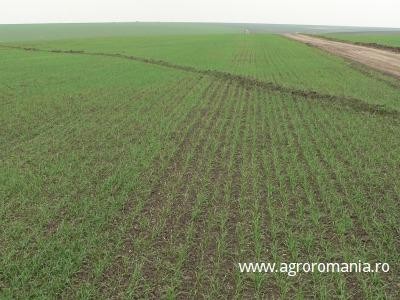 Desi primeste 3 miliarde de euro pe an, sectorul agricol nu utilizeaza eficient acesti bani