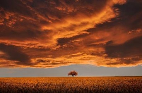 Proiectele pentru investii in activitati neagricole, acceptate pana in 1 februarie 2022