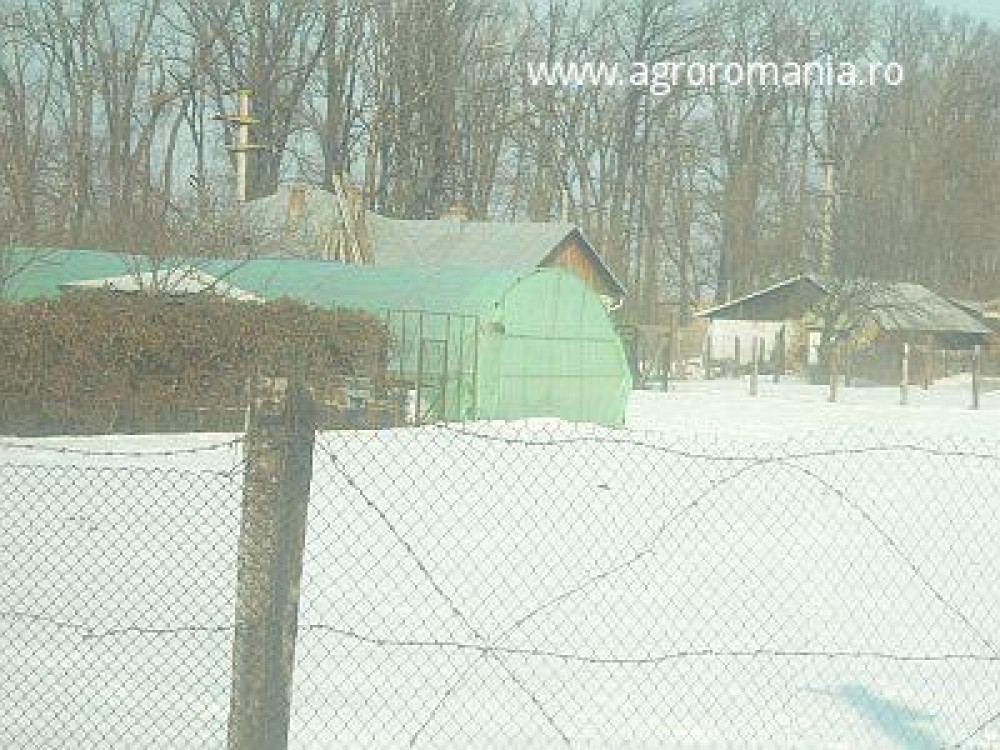 Ce spune ministrul agriculturii despre fondurile pentru sere si solarii