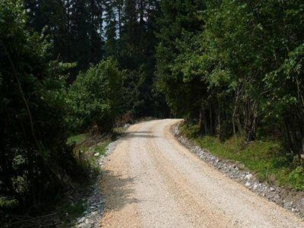 Unitatile administrativ-teritoriale pot cere in administrare suprafete forestiere