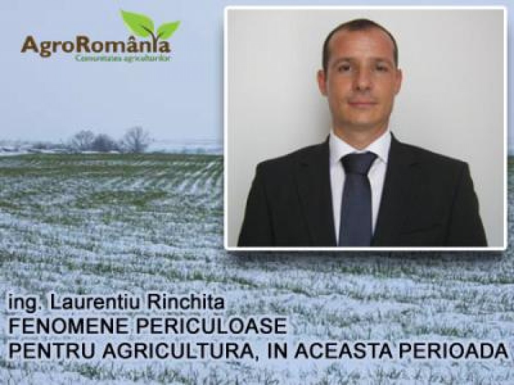 Ce avem de facut in aceasta perioada, in cultura mare: Spargeti crusta de gheata, daca stratul de zapada lipseste!