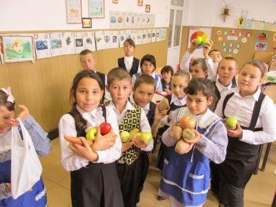 Ce fructe si legume vor primi elevii in noul an scolar