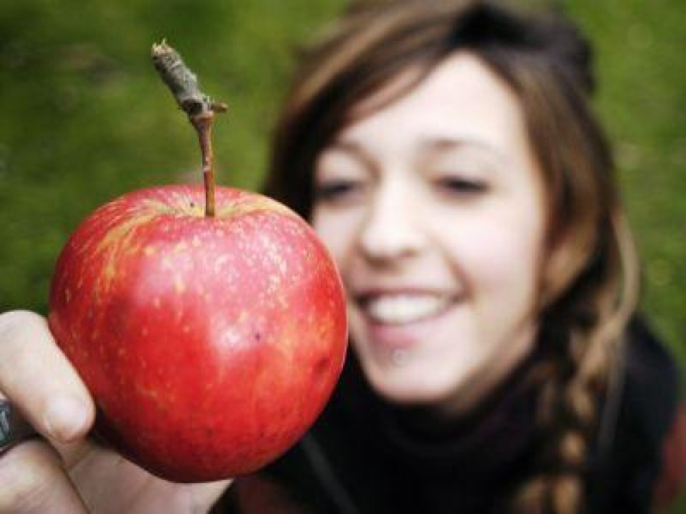 Cati bani europeni primeste Romania pentru aplicarea programului de distribuire a fructelor in scoli