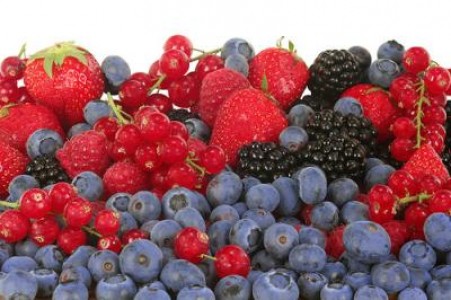 Toata recolta de fructe de padure din Maramures, deja vanduta
