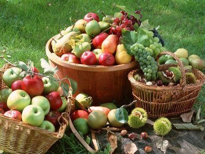 Productia globala de struguri, pere si mere, afectata de schimbarile climatice