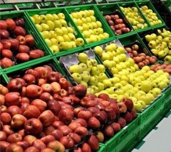 Ce fructe a mai importat Romania in 2012