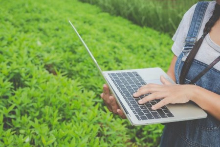 Agricultura viitorului. Digitalizarea agriculturii cu ajutorul unui FTO