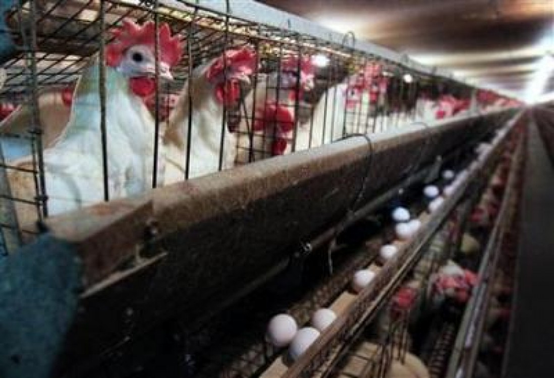 Doar noi din 13 tari. Vezi ce masuri am luat si de ce ne lauda Comisia Europeana