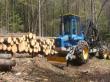 Principalele prevederi ale proiectului de lege privind infiintarea garzilor forestiere
