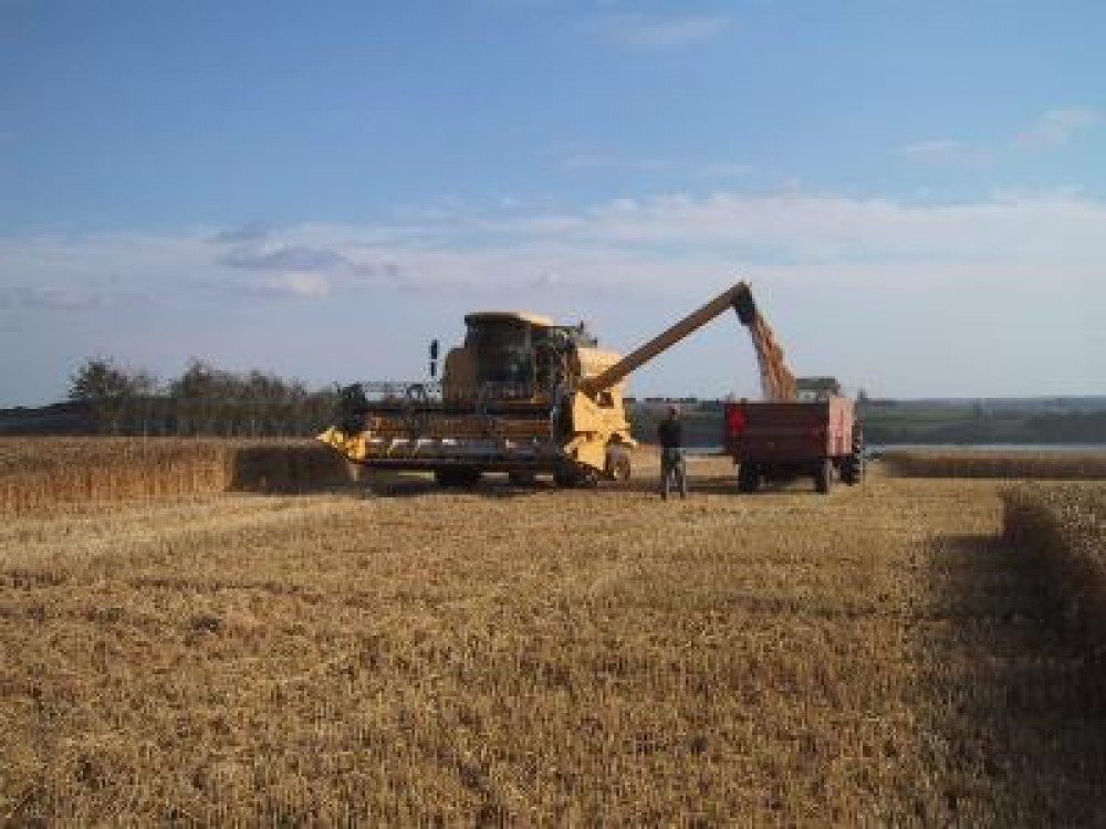 Clubul Fermierilor Romani solicita o celula de criza la MADR