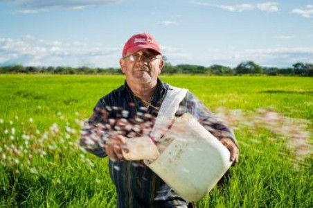 Gospodarii se vor putea inscrie in cooperative