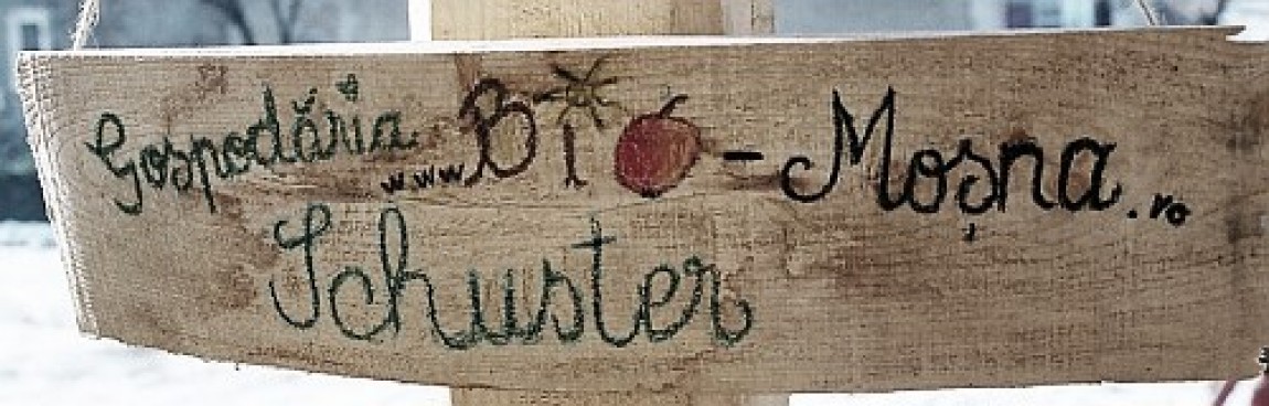 Gospodăria ţărănească a familiei Schuster din Moşna, judeţul Sibiu