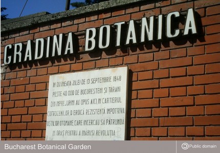 Curatenie de toamna la Gradina Botanica din Bucuresti. Implica-te si tu!