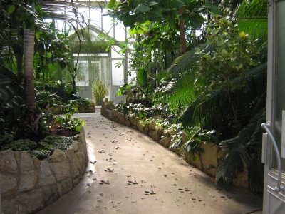 Destinaţii de călătorie: Grădina Botanică din Budapesta