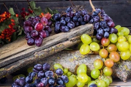 Ajutor de 1.200 euro la hectar pentru cultivatorii de struguri