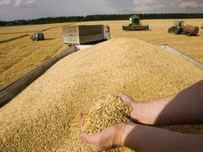 Egiptul decide saptamana viitoare soarta importului de grau din Romania