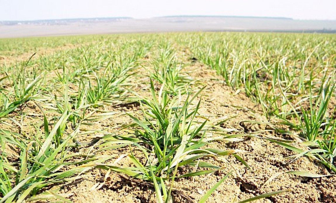 CEC Bank a lansat Creditul pentru achizitia de teren pentru productia agricola