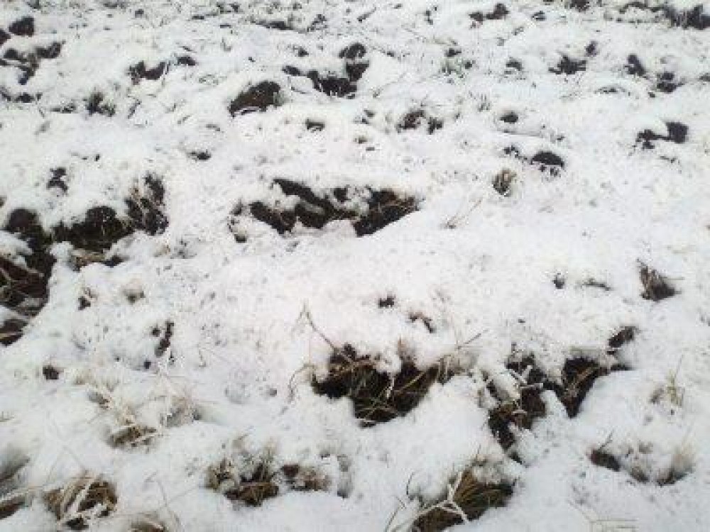 Prognoza meteo pana pe 20 ianuarie - ce temperaturi vom avea si unde va mai ninge in tara