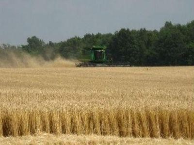 Productiile record din agricultura au scazut pretul alimentelor