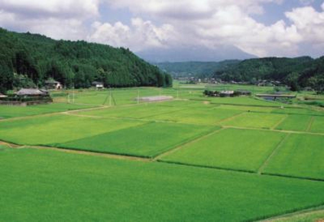 Oficial, avem o suprafata agricola subventionata de 9,27 milioane hectare