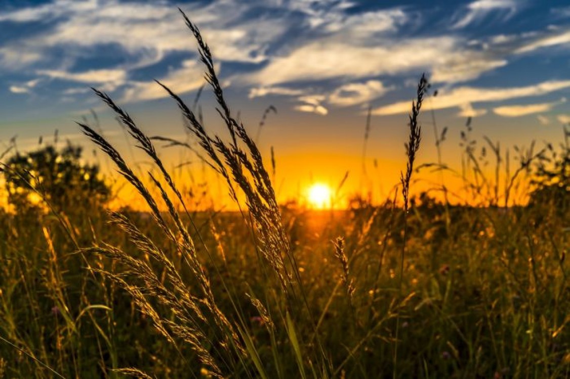 Seceta in Romania in iulie si august. Anuntul Ministerului Agriculturii