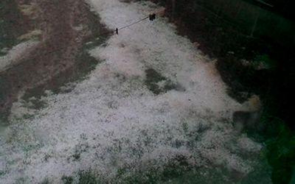 Grindina a compromis livezile de meri din localitatea damboviteana Pietrari