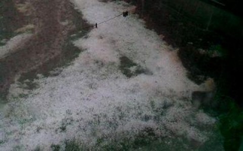 Grindina a compromis livezile de meri din localitatea damboviteana Pietrari
