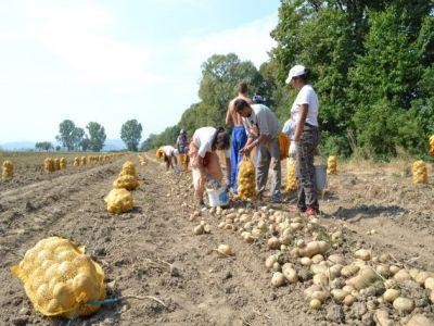 Produsele traditionale harghitene, respinse de la atestare pentru ca nu li s-a putut proba vechimea