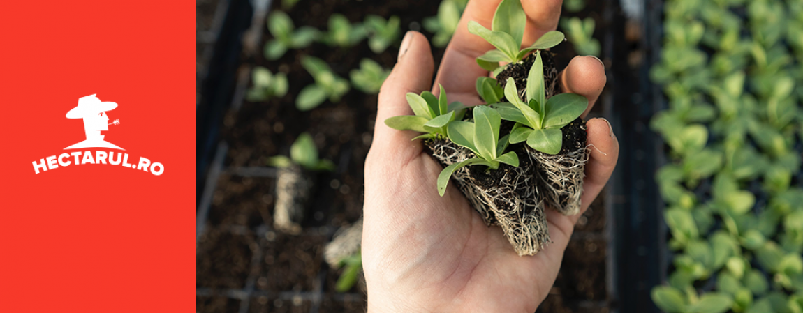 O agricultura sustenabila incepe cu alegerea unor produse ecologice pentru sustinerea culturilor