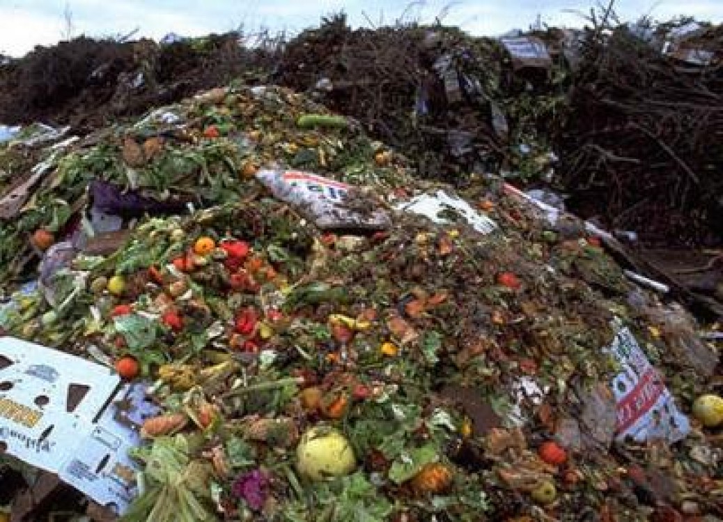 Pana in 2 miliarde de tone de alimente sunt aruncate in fiecare an