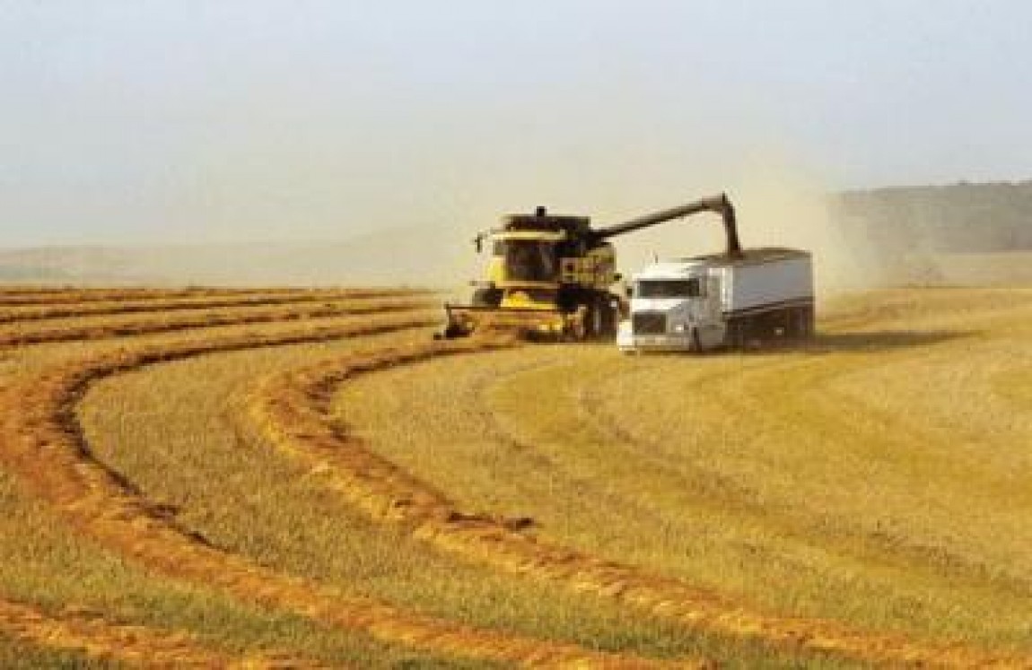 Reforma in agricultura romaneasca – noi surse de finantare si stimulente pentru productorii agricoli romani