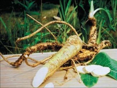 Hreanul, medicament natural de pe vremea dacilor
