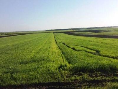 Plati intarziate pentru fermierii depistati cu probleme la teledetectie