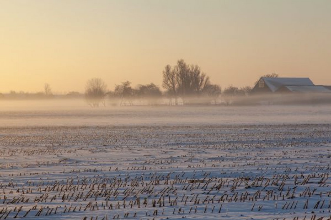 Prognoza agrometeorologica 23 - 29 ianuarie. Lucrarile agricole specifice acestei perioade vor fi sistate temporar