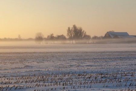 Prognoza agrometeorologica 23 - 29 ianuarie. Lucrarile agricole specifice acestei perioade vor fi sistate temporar