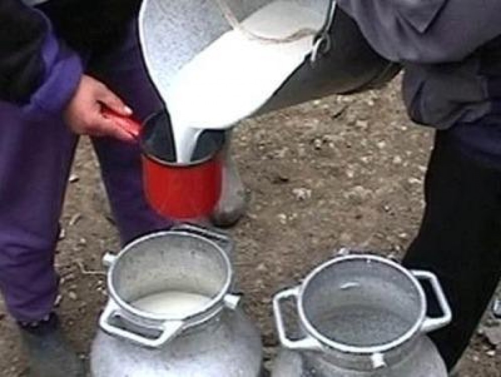 ANSVSA a incheiat campania privind igiena laptelui