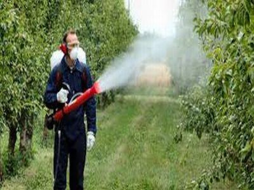 Normele de ecoconditionalitate obligatorii pentru accesarea subventiilor