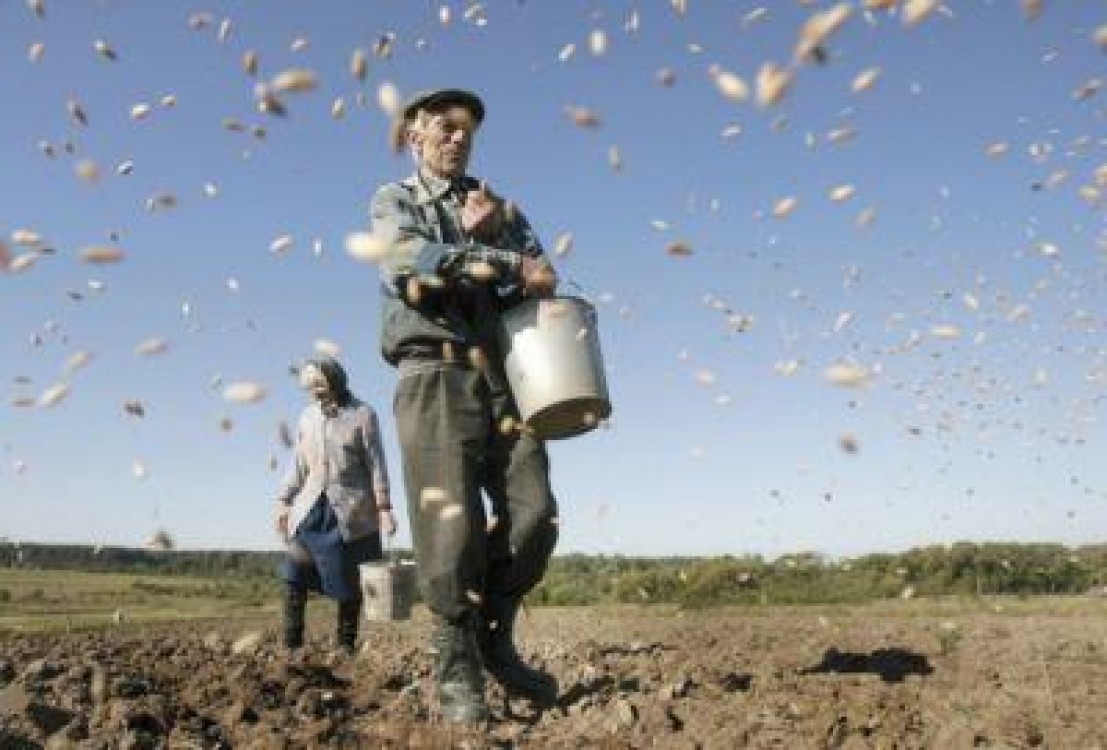 Un raport BCR arata imbatranirea populatiei active din agricultura