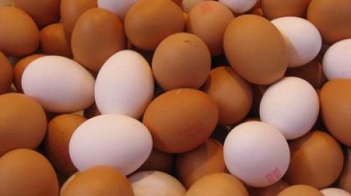 Crescatorii de pui din Romania cer oprirea importurilor de pasare din Polonia