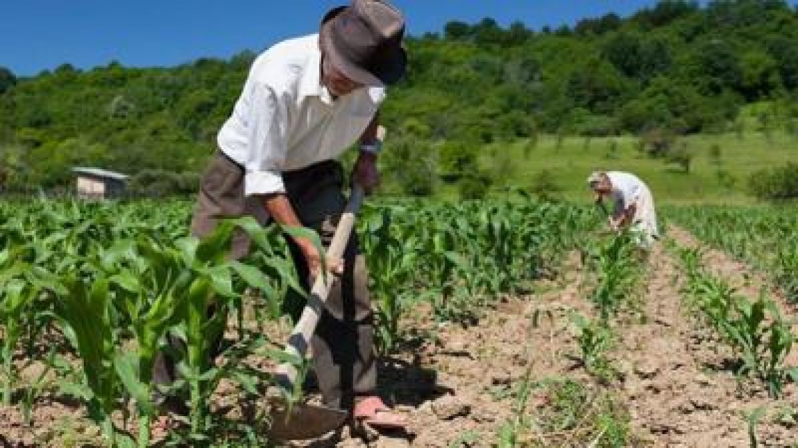 Cine plateste impozitul pe venit agricol?