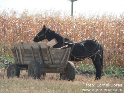 Ce contributii sociale datoreaza statului persoanele fizice care obtin venituri din agricultura