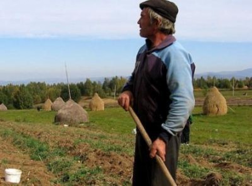 Mai mult de jumatate dintre micii fermieri vor sa isi vanda pamantul sau sa il dea in arenda