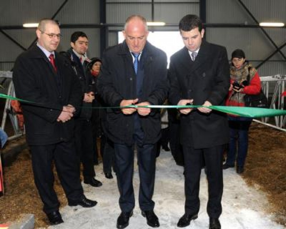 Schimbari pe piata carnii din Romania, la inceput de an