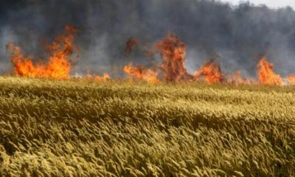 Atentie la incendiile de vegetatie de pe campuri si lizierele padurilor