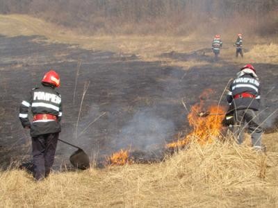 Incendiile de vegetatii fac ravagii in tara. APIA va lua masuri impotriva proprietarilor care ard miristea