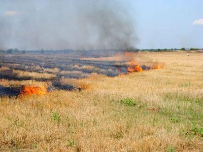 Incendierea suprafetelor agricole poate atrage pierderea subventiei