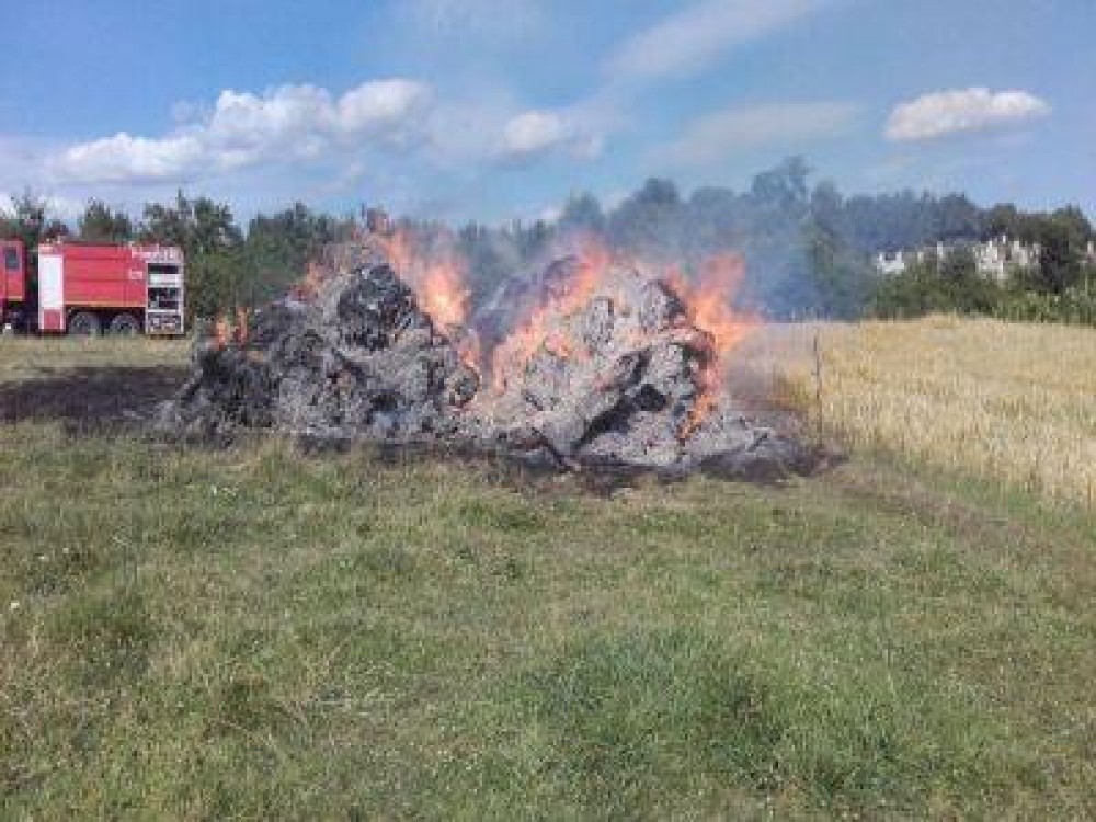 Ce obligatii au fermierii care vor sa faca lucrari de igienizare prin arderea resturilor vegetale